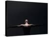 Male Nude in Shadows-null-Stretched Canvas