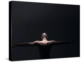 Male Nude in Shadows-null-Stretched Canvas