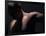 Male Nude in Shadows-null-Framed Photographic Print