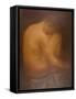 Male Nude Seated-Armand Rassenfosse-Framed Stretched Canvas