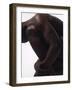 Male Nude Sitting-null-Framed Photographic Print