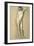 Male Nude Standing (Nudo Virile in Piedi)-Carlo Picozzi-Framed Giclee Print