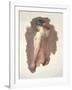 Male Nude-John William Whiteley-Framed Premium Giclee Print