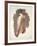 Male Nude-John William Whiteley-Framed Premium Giclee Print