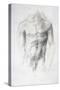 Male Nude-Alphonse Legros-Stretched Canvas