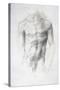 Male Nude-Alphonse Legros-Stretched Canvas