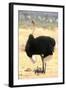 Male Ostrich (Struthio Camelus) Protecting Chicks From The Sun With Its Wings-Eric Baccega-Framed Photographic Print