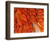 Male Pheasant Feathers, Devon, UK-Ross Hoddinott-Framed Photographic Print