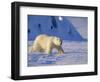 Male Polar Bear(Ursus Maritimus) in Spring, Svalbard/Spitsbergen, Arctic-Lousie Murray-Framed Photographic Print