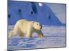 Male Polar Bear(Ursus Maritimus) in Spring, Svalbard/Spitsbergen, Arctic-Lousie Murray-Mounted Photographic Print