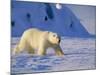 Male Polar Bear(Ursus Maritimus) in Spring, Svalbard/Spitsbergen, Arctic-Lousie Murray-Mounted Photographic Print