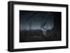 Male Red Deer Stag, Cervus Elaphus, in London's Richmond Park-Alex Saberi-Framed Photographic Print