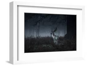 Male Red Deer Stag, Cervus Elaphus, in London's Richmond Park-Alex Saberi-Framed Photographic Print