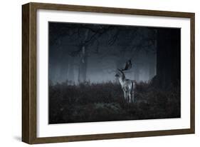 Male Red Deer Stag, Cervus Elaphus, in London's Richmond Park-Alex Saberi-Framed Photographic Print