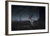 Male Red Deer Stag, Cervus Elaphus, in London's Richmond Park-Alex Saberi-Framed Photographic Print