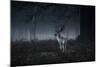 Male Red Deer Stag, Cervus Elaphus, in London's Richmond Park-Alex Saberi-Mounted Photographic Print