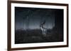 Male Red Deer Stag, Cervus Elaphus, in London's Richmond Park-Alex Saberi-Framed Photographic Print