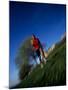 Male Runner Out for a Fitness Run, New York, New York, USA-Chris Trotman-Mounted Photographic Print