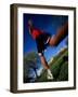 Male Runner Out for a Fitness Run, New York, New York, USA-Chris Trotman-Framed Photographic Print