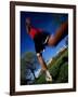 Male Runner Out for a Fitness Run, New York, New York, USA-Chris Trotman-Framed Photographic Print