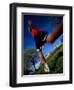 Male Runner Out for a Fitness Run, New York, New York, USA-Chris Trotman-Framed Photographic Print