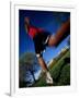 Male Runner Out for a Fitness Run, New York, New York, USA-Chris Trotman-Framed Photographic Print