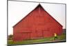 Male Runner Runs Along A Gravel Trail In Front Of Bright Red Barn In UI Arboretum In Moscow, Idaho-Ben Herndon-Mounted Photographic Print