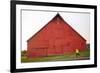 Male Runner Runs Along A Gravel Trail In Front Of Bright Red Barn In UI Arboretum In Moscow, Idaho-Ben Herndon-Framed Photographic Print