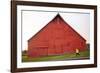 Male Runner Runs Along A Gravel Trail In Front Of Bright Red Barn In UI Arboretum In Moscow, Idaho-Ben Herndon-Framed Photographic Print