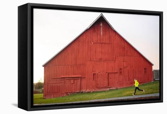 Male Runner Runs Along A Gravel Trail In Front Of Bright Red Barn In UI Arboretum In Moscow, Idaho-Ben Herndon-Framed Stretched Canvas