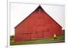 Male Runner Runs Along A Gravel Trail In Front Of Bright Red Barn In UI Arboretum In Moscow, Idaho-Ben Herndon-Framed Photographic Print