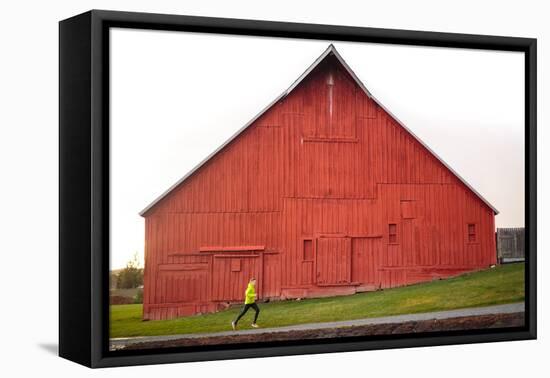 Male Runner Runs Along A Gravel Trail In Front Of Bright Red Barn In UI Arboretum In Moscow, Idaho-Ben Herndon-Framed Stretched Canvas