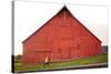 Male Runner Runs Along A Gravel Trail In Front Of Bright Red Barn In UI Arboretum In Moscow, Idaho-Ben Herndon-Stretched Canvas