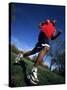 Male Runner Training, New York, New York, USA-null-Stretched Canvas