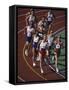 Male Runners Competing in a Track Race-null-Framed Stretched Canvas