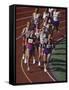 Male Runners Competing in a Track Race-null-Framed Stretched Canvas