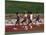 Male Runners Competing in a Track Race-null-Mounted Photographic Print