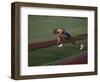 Male Runners Stetching before Competing in a Track Race-null-Framed Photographic Print