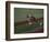 Male Runners Stetching before Competing in a Track Race-null-Framed Photographic Print