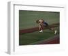 Male Runners Stetching before Competing in a Track Race-null-Framed Photographic Print
