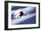 Male Skier Traveling Down the Slopes at Alta, Utah-Adam Barker-Framed Photographic Print