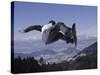 Male Snowboarder Flying over the Vert-null-Stretched Canvas