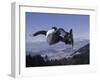 Male Snowboarder Flying over the Vert-null-Framed Premium Photographic Print