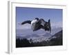 Male Snowboarder Flying over the Vert-null-Framed Photographic Print