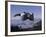 Male Snowboarder Flying over the Vert-null-Framed Photographic Print