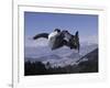 Male Snowboarder Flying over the Vert-null-Framed Photographic Print