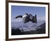 Male Snowboarder Flying over the Vert-null-Framed Photographic Print