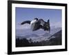 Male Snowboarder Flying over the Vert-null-Framed Photographic Print