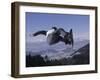 Male Snowboarder Flying over the Vert-null-Framed Photographic Print