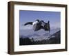 Male Snowboarder Flying over the Vert-null-Framed Photographic Print